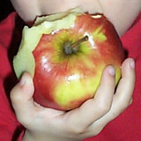 O-förstorat äpple i 72 dpi